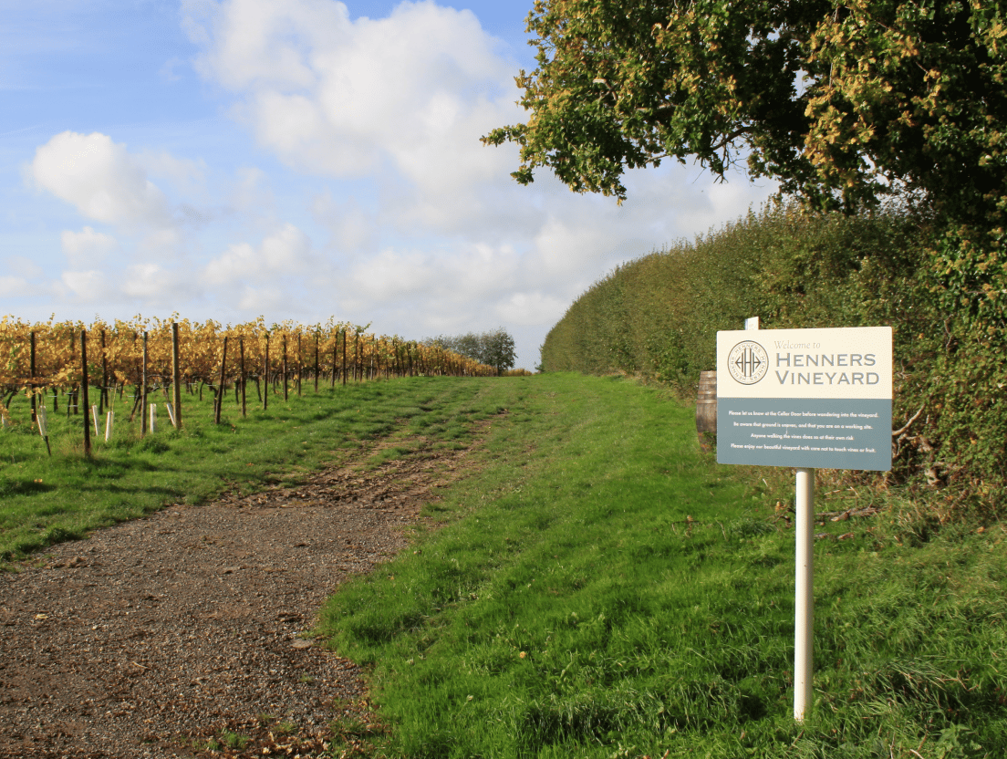 Pevensey Levels to Henners Vineyard cycle route image