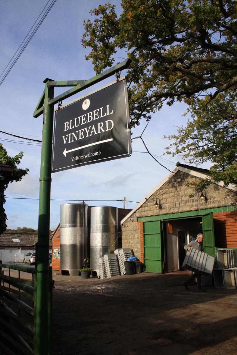Woodland wine walk: Bluebell Vineyard via heritage railway image