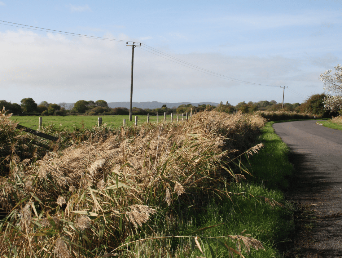 Pevensey Levels to Henners Vineyard cycle route image
